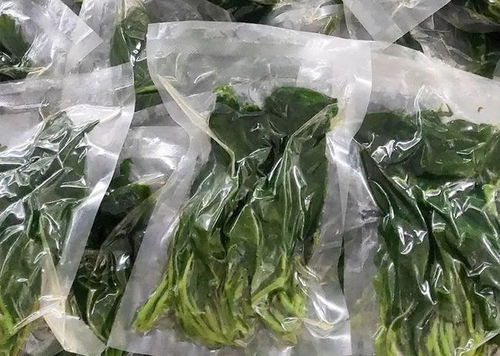 厉害了 盐亭这个村子靠桑树走上致富之路