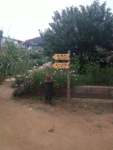 采摘啦 采摘啦 最全的采摘基地看这里