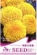 【明黄万寿菊种子】最新最全明黄万寿菊种子 产品参考信息