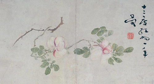 展览预告 不止于怪 扬州八怪书画精品展