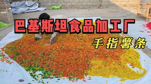 巴基斯坦流水线食品工厂,日产3000公斤膨化食品,小零食手指薯条