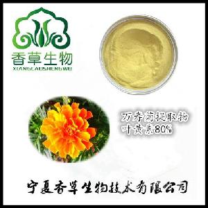 万寿菊花 万寿菊花价格 报价 万寿菊花品牌厂家